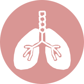 Gènes respiratoires